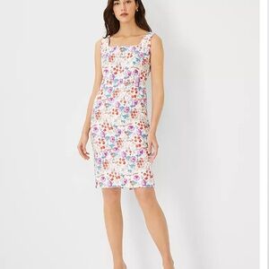 Ann Taylor Winter White Printed Sheath Dress Size 2P